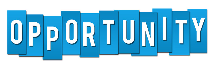 Opportunity Professional Blue 