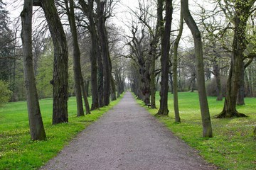 Fototapeta na wymiar Belvedere Park, Weimar.