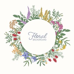 Obraz premium Round frame or border decorated with colorful blooming wild meadow flowers, inflorescences and leaves. Gorgeous circular floral background. Botanical vector illustration in elegant vintage style.