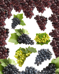 Grape fruits isolated