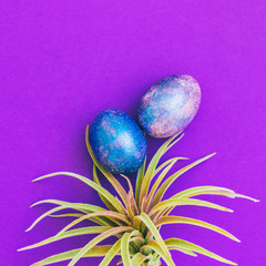 two crazy magic dragon eggs with cosmic pattern on purple background with palm tree or cactus. art creative concept. minimal and surreal artwork