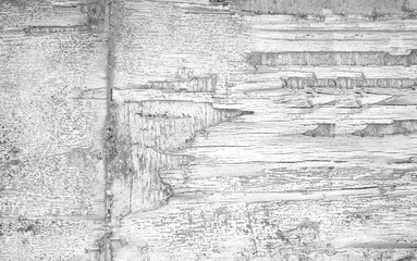 White or gray wood texture