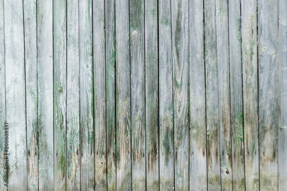 Wall mural Green and white background of weathered painted wooden plank