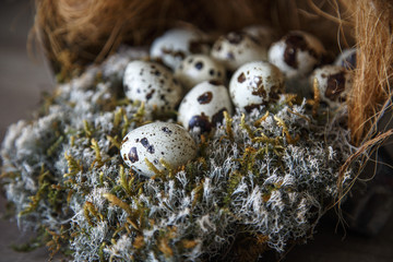 Quail Eggs