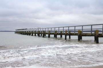 Kormorane, Möwen, Seebrücke, Travemünde,  Ostseeküste,  Lübecker Bucht, Schleswig-Holstein, Deutschland