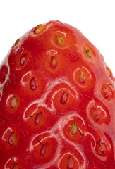 Tip of strawberry extreme close up - isolated with white background, focus stacked, natural surface