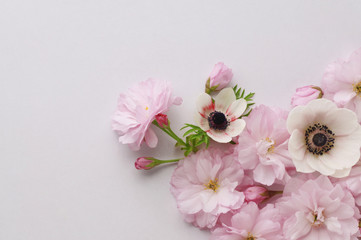 Fototapeta na wymiar floral background of cherry and anemone flowers 
