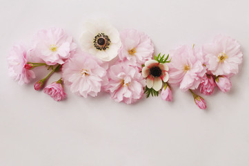 Fototapeta na wymiar floral background of cherry and anemone flowers 