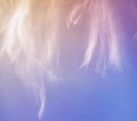 white clouds in a sky