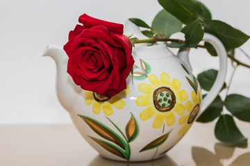 Red rose and beautiful porcelain teapot.