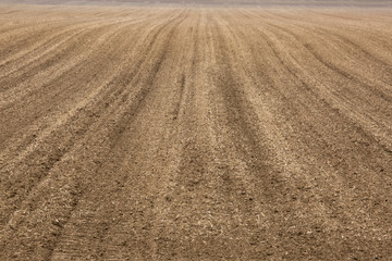 plowed field
