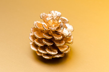 one colden pine cone on golden background