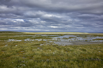 Marshland in Argentinan Patagonia