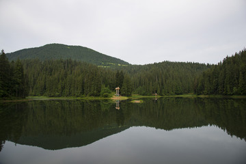 Obraz premium Synevyr - largest lake in the Carpathian Mountains of Ukraine