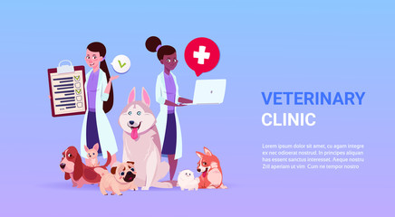 Veterinary Clinic Poster With Female Doctors Ver And Group Of Dogs Over Template Background Flat Vector Illustration
