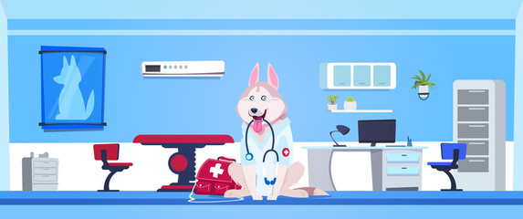 Dog Wearing White Coat And Holding Stethoscope In Vet Clinic Office Interior Flat Vector Illustration