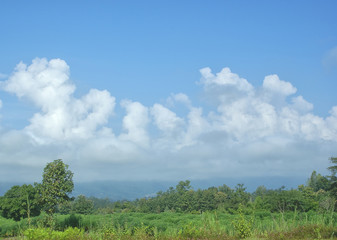 landscape of green field and blue sky