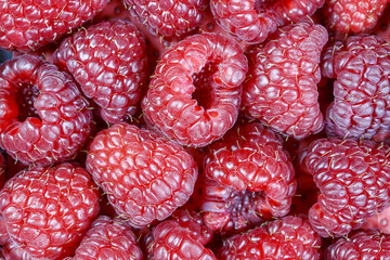 Himbeeren