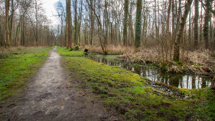 Marsh Osboek Belgium