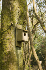 Man made nesting box placed on a woodland tree to provide shelter for wild birds