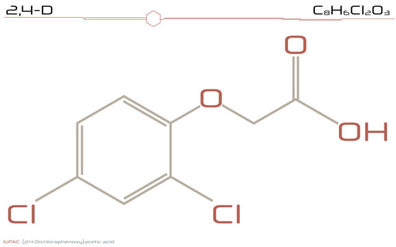 Large and detailed infographic of the molecule of 2,4-D.