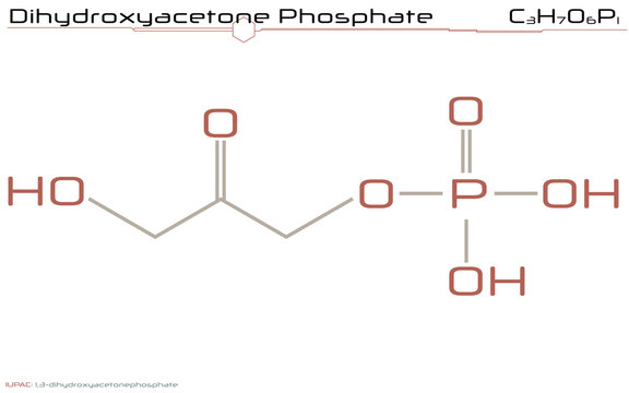 Large and detailed infographic of the molecule of Dihydroxyacetone phosphate.