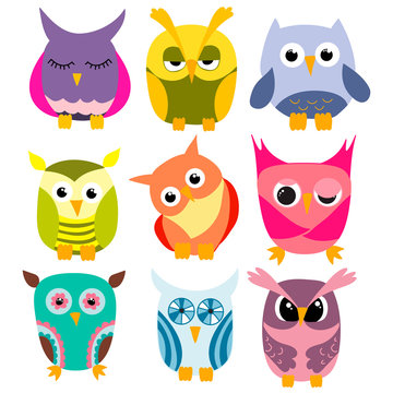 set of cartoon owls