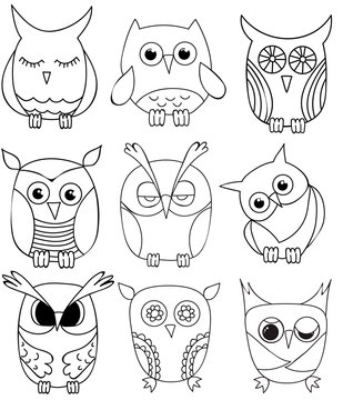 vector, isolated set of cartoon owls, coloring book
