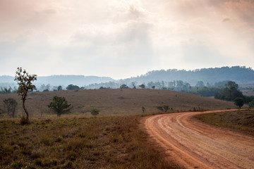 The dirt curve road on a beautiful dry fied grass of Thailand at Tung Salang Luang National Park Khao Kho Phetchabun in Thailand. 