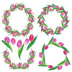 Tulips collection with frame, wreath, petals, flowers and branches. Watercolor hand drawn illustration isolated on white background.