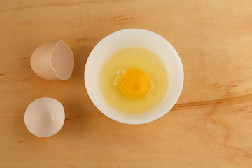 egg