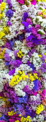 Fundo com flores coloridas