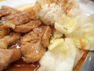 Fried sliced pork with rice and sauce