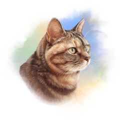 Cute striped cat. Watercolor portrait of pet. Drawing of a cat with green eyes executed in watercolor. Good for print on pillow, T-shirt. Art background, banner for pet shop. Hand painted illustration