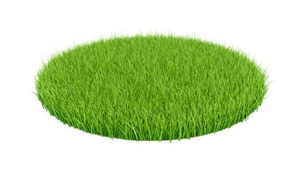 3D rendering Green grass circle field isolated on white background