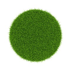 3D rendering Green grass circle field isolated on white background
