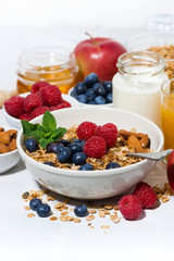 healthy breakfast. granola, fresh berries and fruits on white background, closeup