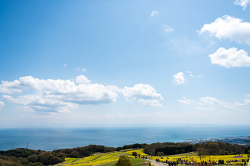 春の空と雲