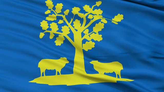 Lommel closeup flag, city of Belgium, realistic animation seamless loop - 10 seconds long