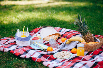 Picnic at the park on the grass: tablecloth basket healthy food and accessories top view