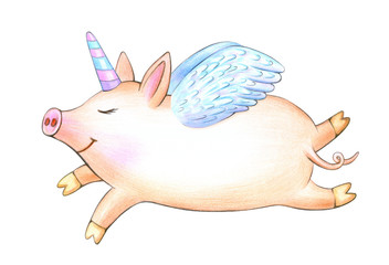  Cute  unicorn, pig cartoon, isolated on white.