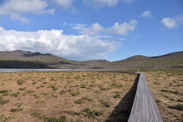 裏磐梯の雄国沼