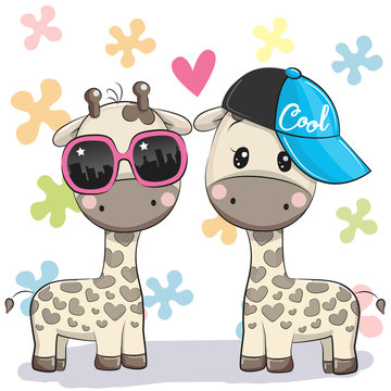 Two Cute giraffes with glasses and cap