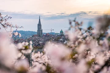 Fotobehang Abendstimmung über Berner Altstadt während der Kirschblüte © schame87