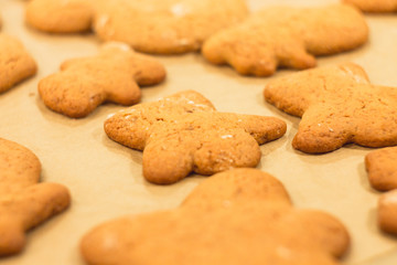Ginger biscuits lie on a baking sheet. Cookies on baking paper. Selective focus.