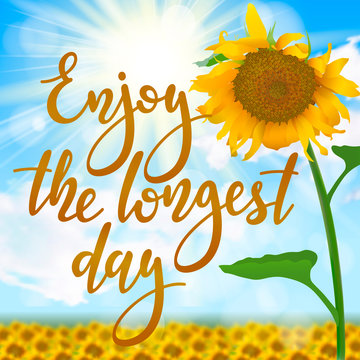 Enjoy the longest day - handwritten lettering quote on sunny realistic summer background with field of sunflowers. Vector illustration of summer solstice.
