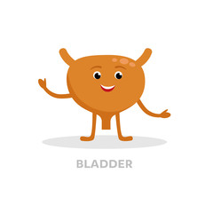 Strong healthy bladder cartoon character isolated on white background. Happy bladder icon vector flat design. Healthy organ concept medical illustration