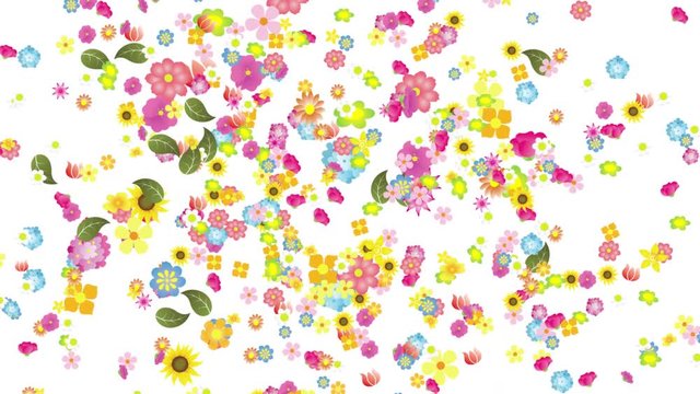 Anima&ccedil;&atilde;o com flores que mostram o in&iacute;cio da primavera