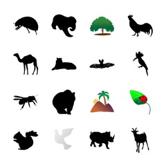 icon Animal with badge, danger, asian tiger, funny and canary