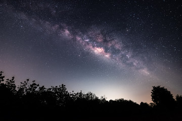 the beautiful milky way on the night sky in the forest. the concept of astroscape, travel,...